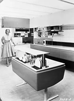 Dishwasher Prints: Woman Standing in Modernized Kitchen