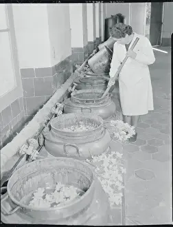 Grasse Prints: Woman Stirring Tubs of Daffodil Flowers