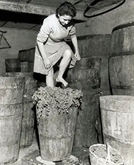 Woman Stomping Grapes
