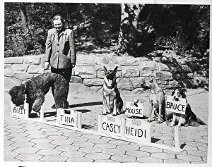 Trainer Prints: Woman Training Dogs To Find Name Plates