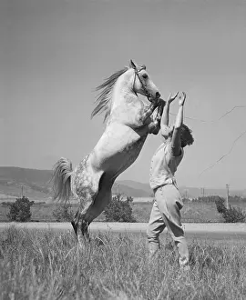 Pomona Prints: Woman Training Horse