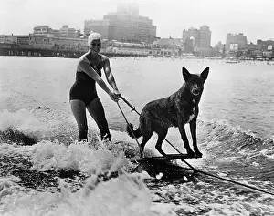 Woman water skiing with her dog