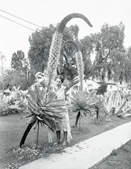 Santa Barbara Prints: Woman Watering Twin Cactus Plants
