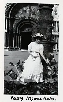 Pigeons Prints: Woman in White Dress Feeding Pigeons