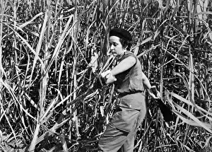 Woman Working in Field