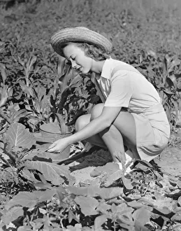 Woman working in garden