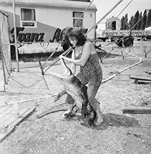 Woman Wrestling Alligator