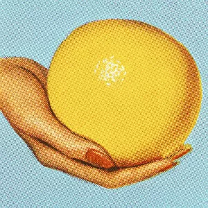 Images Dated 21st December 2015: Womans Hand Holding a Grapefruit