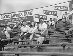 Bleachers Prints: Women in Bleachers at Yankee Stadium