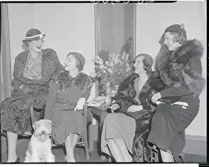 Women Conversing During Cocktail Hour