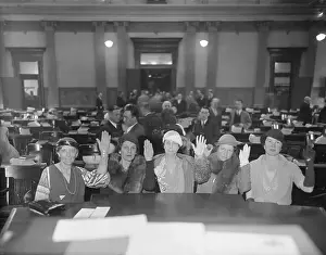 Womens Rights Prints: Women Delegates Taking Pledge