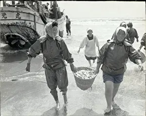 Bpa2 Prints: Women Fishers Carrying Basket of Fish