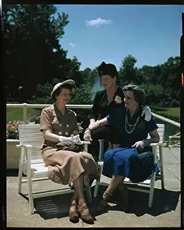 Women in Government and Politics