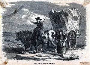 Traveling Prints: Women With Oxen And Covered Wagon