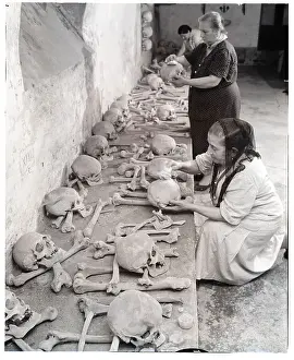 Women of Red Hoods Dust Skulls