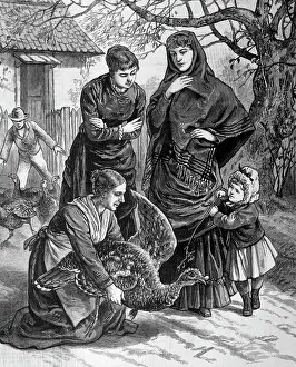 Thanksgiving Prints: Women Selecting The Thanksgiving Turkey