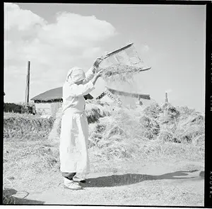 Women Tossing Kernels Into the Air