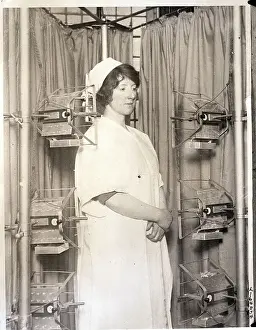 Tanning Prints: Women Using First Tanning Machine