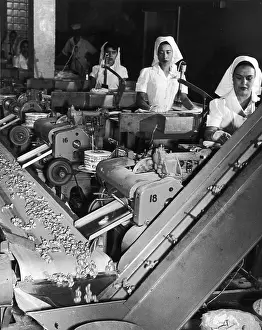 Women At Work In Candy Factory