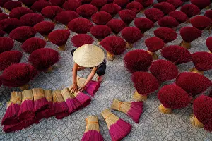Light Prints: Women Worker with conial hat drying the Incense sticks on yard outdoor