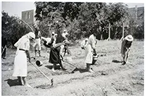 Farmer Prints: Women Working In Field On Ground