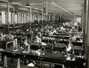 Sewing Prints: Women Working In A Garment Factory