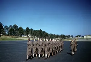 WOMENS ARMY CORPS AT FORT MCCLELLAN