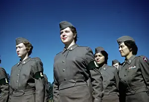 WOMENS ARMY CORPS AT FORT MCCLELLAN