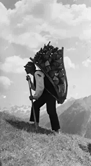 Timber Prints: Wood Carrier