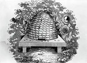 Beehive Prints: Woodcut Of A Beehive
