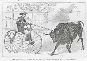 Bull Prints: Woodcut of Bullfighter and Bull