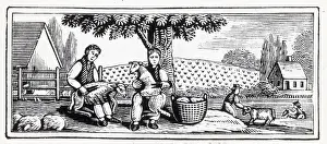 Farmer Prints: Woodcut; Farmers Shearing Sheep