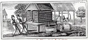 Farmer Prints: Woodcut Of Farmers Squeezing Fruit in Press