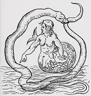 Myth Prints: Woodcut Of Mermaid Surrounded By Snake