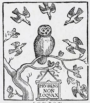 Title Page Prints: Woodcut Of Title Page With Owl