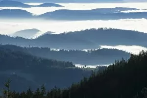 Wooded hills, fog, Seebach, Nordschwarzwald, Schwarzwald, Baden-Wurttemberg, Germany