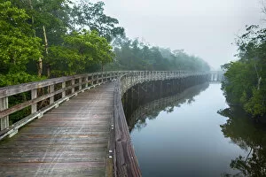 Gallo Landscapes Gallery: Wooden boardwalk at Robinson Preserve, Bradenton, Florida, USA