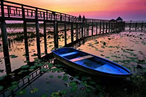 The wooden bridge and lotus pond