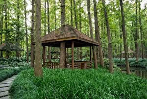 Images Dated 17th September 2015: Wooden pavilion in forest, Hangzhou, China