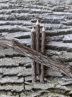 Images Dated 22nd April 2012: Wooden pencils