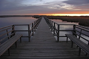 Images Dated 31st December 2012: Wooden pier on Federsee lake, morning mood, am Federsee, Baden-Wurttemberg, Germany