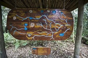 Images Dated 17th February 2012: Wooden sign depicting hiking trails of the Central Circuit, Rwenzori Mountains, Uganda
