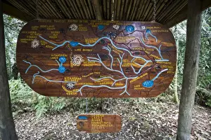 Cards Prints: Wooden sign depicting hiking trails of the Central Circuit, Rwenzori Mountains, Uganda