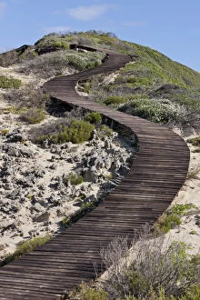 Wooden walkway leading to The Point at Robberg Nature Reserve, South Africa