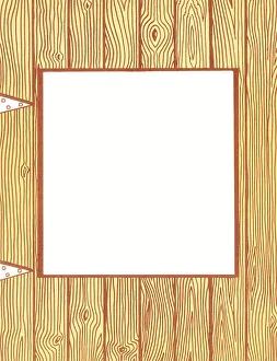Images Dated 31st March 2015: Woodgrain