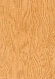Wood Grain Prints: Woodgrain
