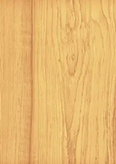 Wood Grain Prints: Woodgrain