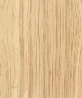 Images Dated 6th March 2015: Woodgrain