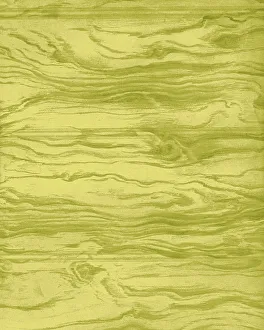 Images Dated 21st April 2015: Woodgrain