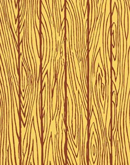 Images Dated 19th January 2015: Woodgrain